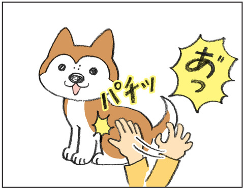 動物00471