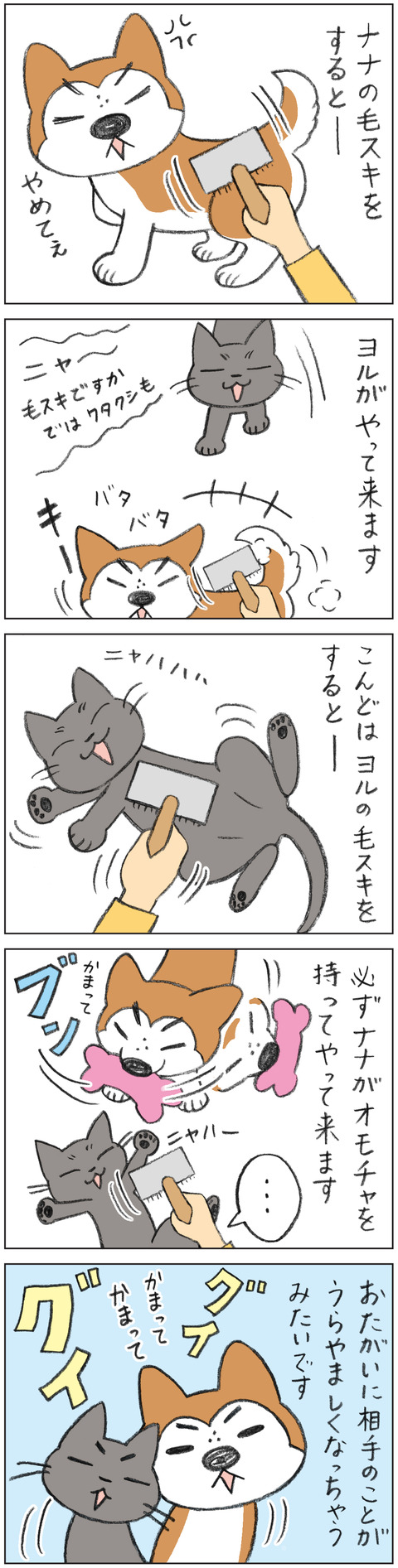 動物18-0141