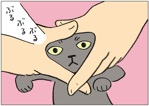 ワンショット13