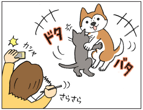 動物00525