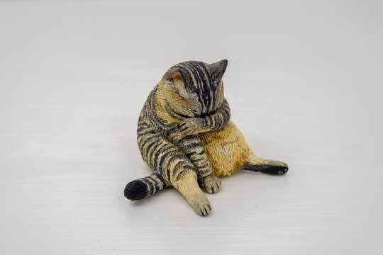 猫 泣いてないもん 哀愁漂うぽってり猫ちゃんの再現フィギュアが抱きしめたくなるほどかわいい どこみる動物さん