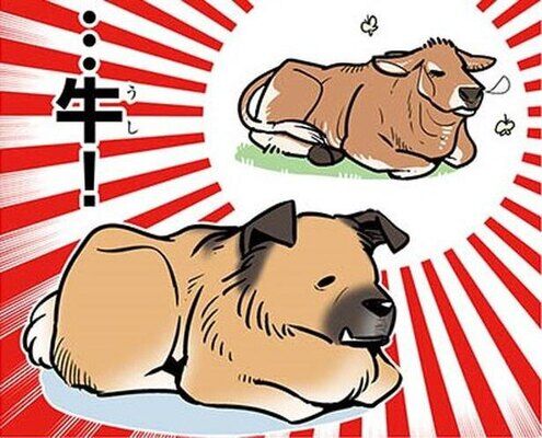 漫画 犬なのに猫がよくやる 香箱座り でも連想されるのは違う動物 雑種犬ゴンさんがダサかわいい 3 ニコニコニュース どこみる動物さん