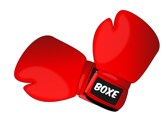 boxing-1293088_640