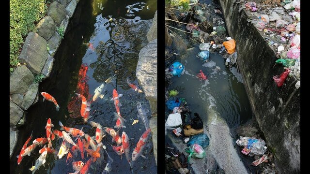 インドと日本の比較