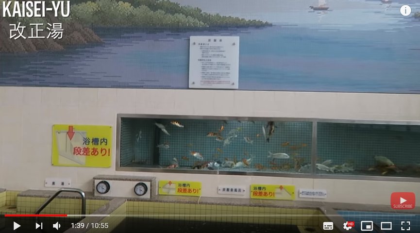 改正湯_巨大水槽