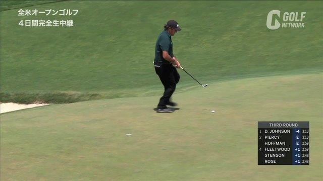 ミケルソン故意