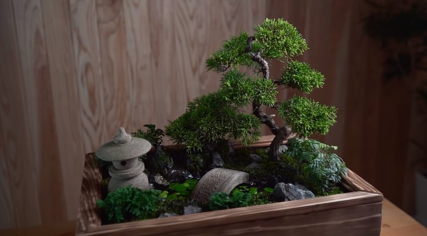 植物男子 Asu【和風の箱庭を作る】