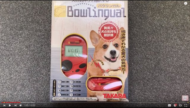 日本の犬語翻訳機 バウリンガル が想像以上に正確だと話題に