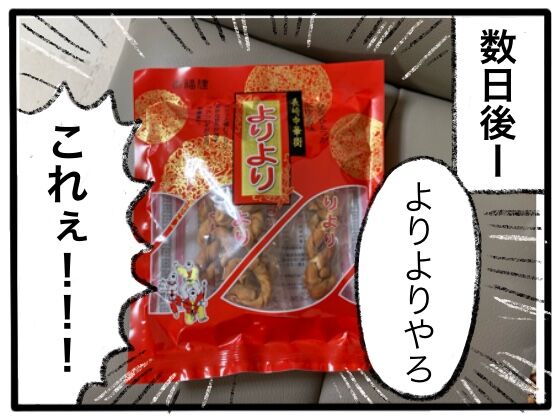 この世で一番固いお菓子 よりより ドーナツちょうだい だらけ主婦 堂ナツ子の日常