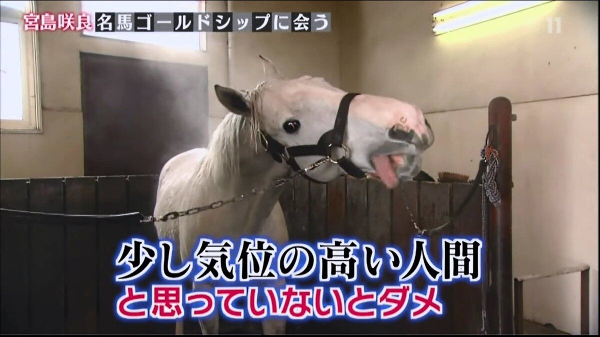 ウマ娘 ゴルシ主役の三期があったらどんな感じになるかな 同人速報