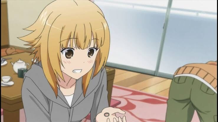 みなみけ アニメシリーズ振り返りイベントが開催決定 戦犯扱いのフユキがでてくる おかわり はどう振り返るのか注目される 同人速報