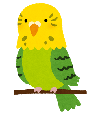 鳥グッズ作成者のbirdstory先生 キャンドゥで販売されているミラーのインコなどのデザインがご自身が作成したイラストの構図と酷似しており困惑される 同人速報 鳥グッズ作成者のbirdstory先生 キャンドゥで販売されているミラーのインコなどのデザインがご自身が作成したイラストの構図と酷似しており困惑される 同人速報