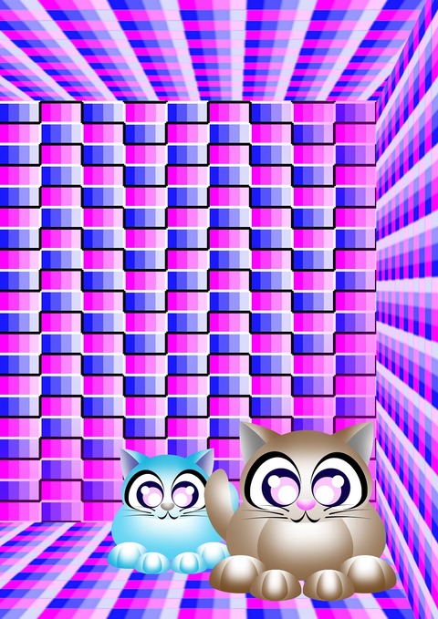 もちネコさん-7