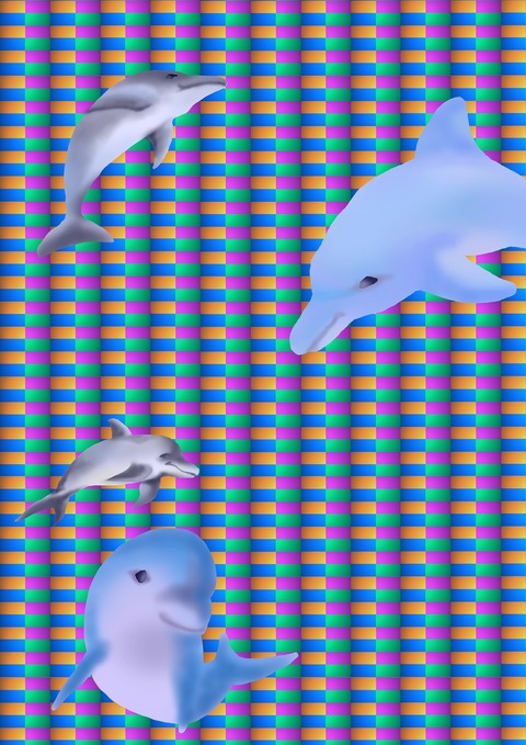 2019－イルカ５