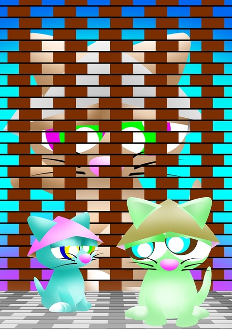 Hat付出目キャット－１
