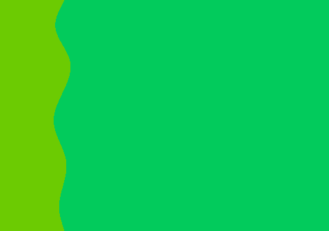 クマか(科)?-1