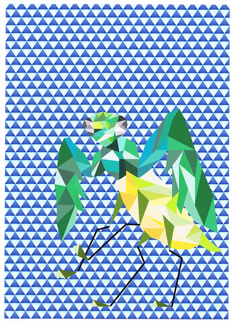 カマキリ１(ブログ）