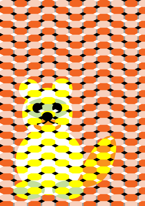タヌキもどき－３