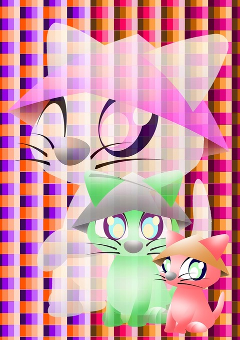 Hat付キャット－３