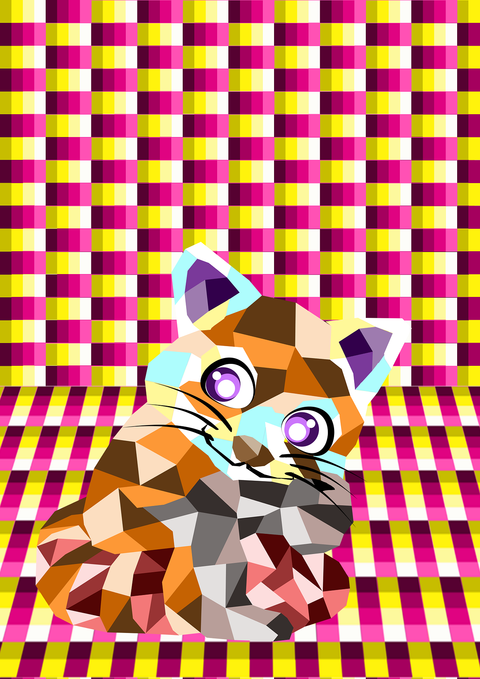 レッサーキャット？－２(ブログ)