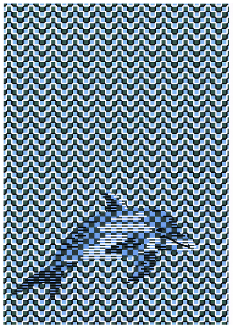 イルカ`16.4．7－１