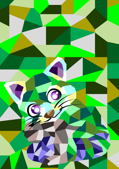 レッサーキャット？－８