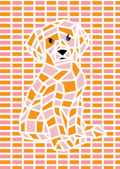 レトリバー6