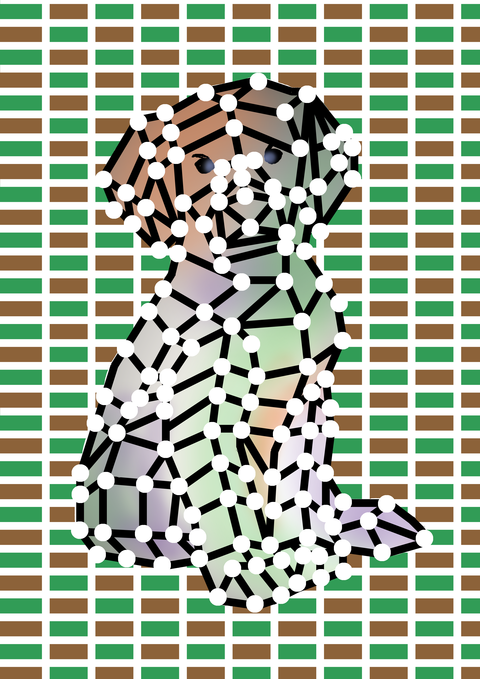 レトリーバー１