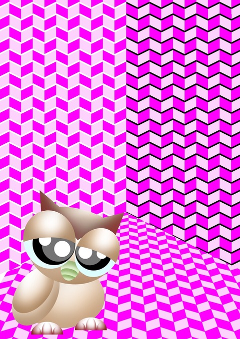 出目フクロウ-5