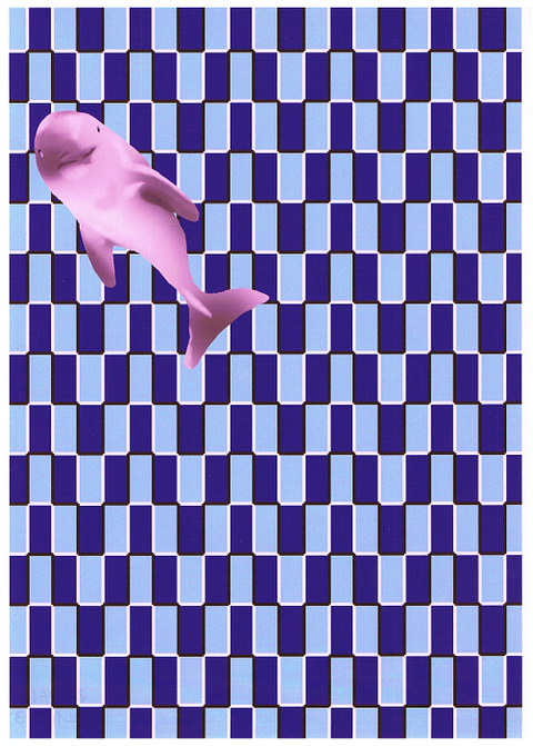 `16.4．06イルカ－３