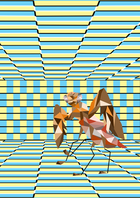 パンダ＆カマキリ－７