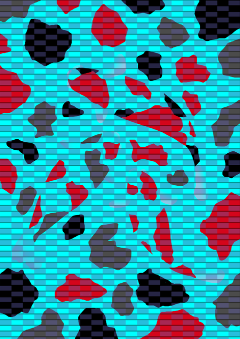 隠れ鯉A－３