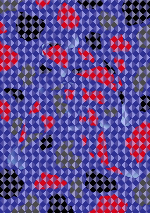 隠れ鯉A－２