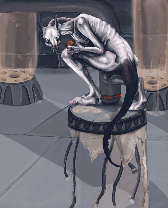 realpkmn9-1278892510