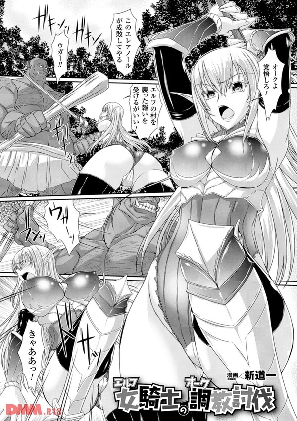 エルフ女騎士のオーク調教討伐-0045