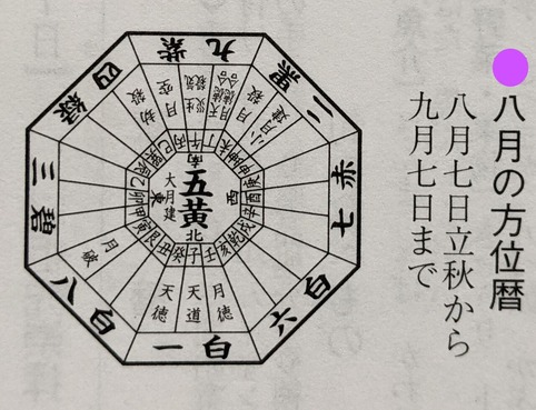 8月月版