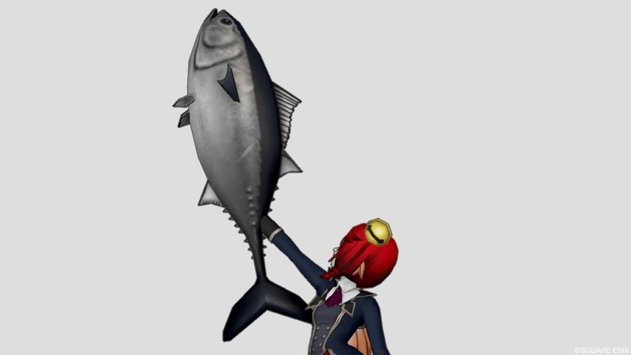 ヒトデのブーメラン マグロバスター もらいましたー ドラクエ10でドゥウェッサー ヒトデのブーメラン マグロバスター もらいましたー ドラクエ10でドゥウェッサー