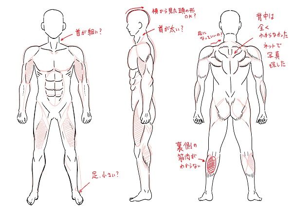筋肉質な男性の絵 前 横 後 前編 だうねこ日記
