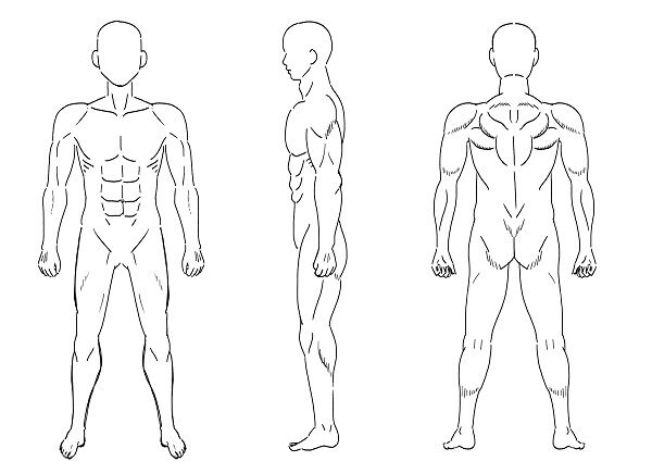 筋肉質な男性の絵 前 横 後 前編 だうねこの投資と消費