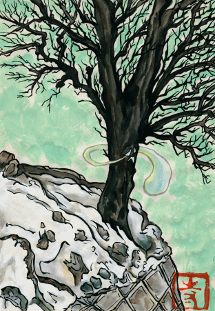 泣く木 妖怪図鑑 新版tyz