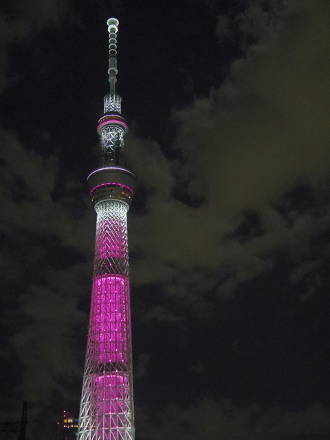 IMGP2791