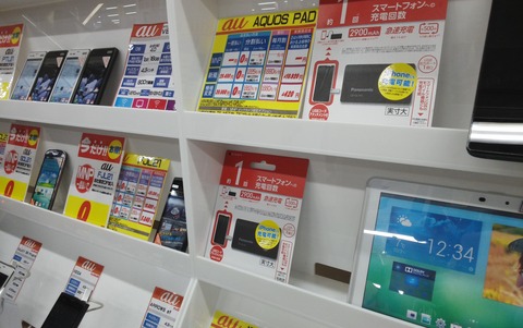 ARROWS Tab FJT21のカメラで撮影した写真2