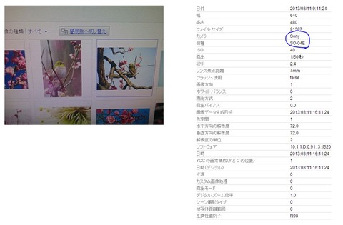 xperia dogo so-04eで撮影した写真2