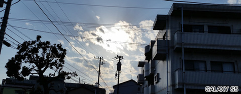 逆光シーン@GALAXY S5カメラ