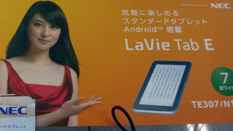 LaVie Tab E TE510N1のカメラ撮影写真3