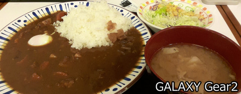 すき家のカレー@Gear2