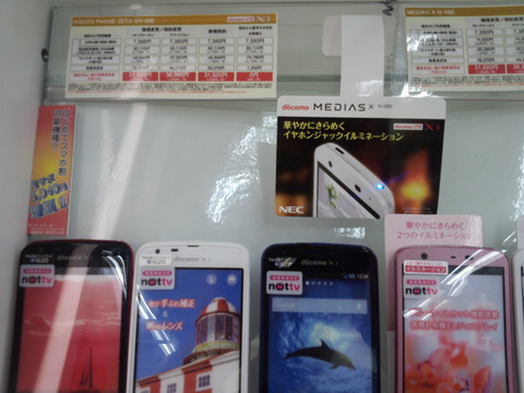 ARROWS X F-10Dのカメラで撮影した写真4