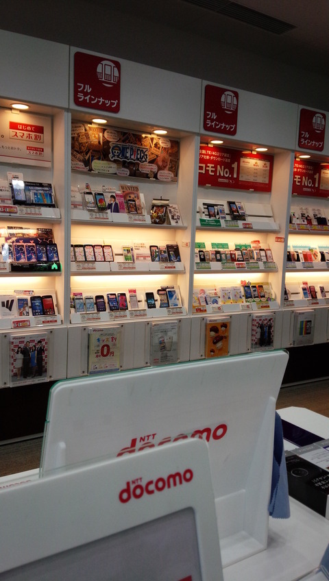 アローズNX F-01Fのカメラで撮影した写真2