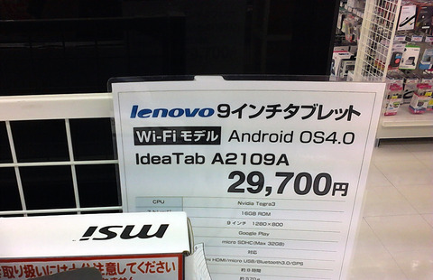 lenovo IdeaTab A2109Aのカメラで撮影した写真3