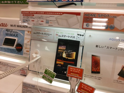 auタブレット「AQUOS PAD SHT21」のカメラ撮影写真2